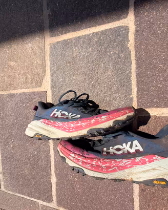 Hoka speedgoat 6 42 2/3