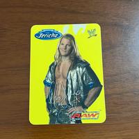 Card Wwe 2004 Chris Jericho 06/132