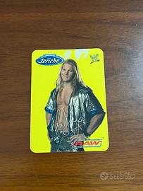 Card Wwe 2004 Chris Jericho 06/132