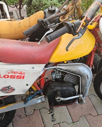 franco morini
