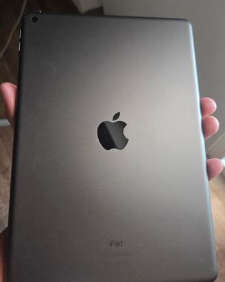 Apple Ipad