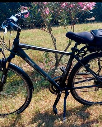 e-bike bici elettrica lombardo