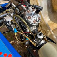 Kart KZ Gold motore Vortex