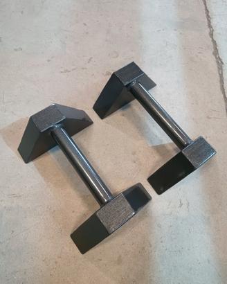 Parallelette calisthenics 