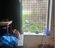 Immagine 19