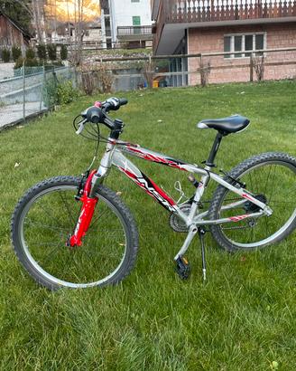 MTB  bambino