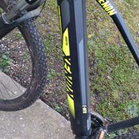 Bici elettrica Mountain bike