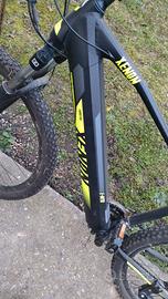 Bici elettrica Mountain bike