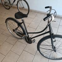 bicicletta Mountain bike e bicicletta da donna