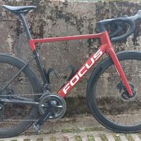 Focus izalco max