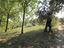 Immagine 29