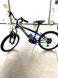 COPPIA DI BICICLETTE