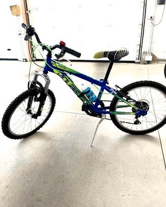 COPPIA DI BICICLETTE