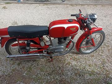 Morini tresette sprint 