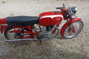 Morini tresette sprint 