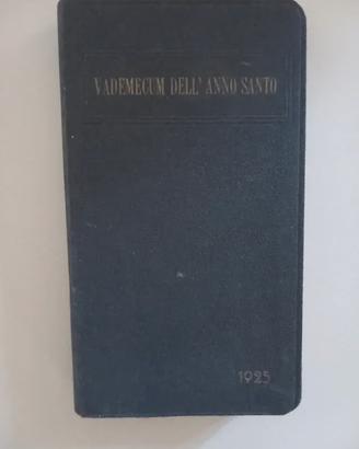 Vademecum dell'Anno Santo 1925