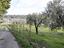 Immagine 10