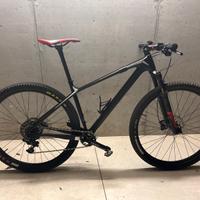 Mtb focus raven 29