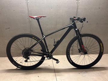 Mtb focus raven 29