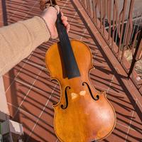 Violino