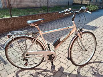 Citybike da uomo