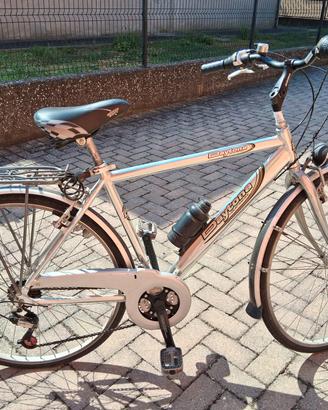Citybike da uomo