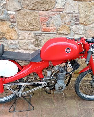 Motom Competizione