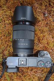 Sony 18-135 mm