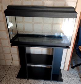 ACQUARIO 8Olt
