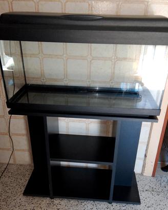 ACQUARIO 8Olt
