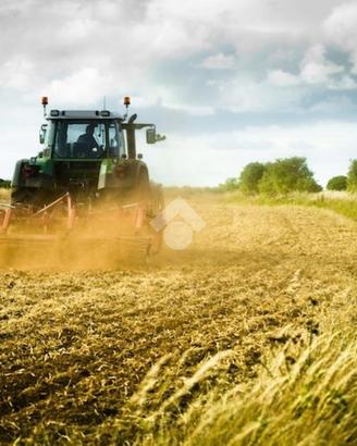 TER. AGRICOLO A CALCIO