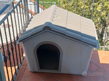 Cuccia per cane