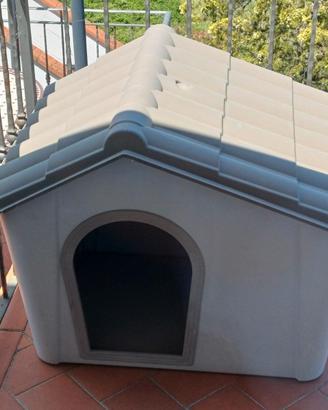 Cuccia per cane