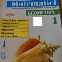 Libri Scuola Media Matematica, Algebra e Geometria