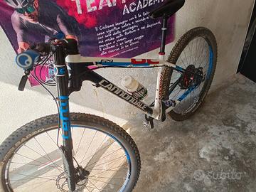 bici mtb cannondale 29 tgl....m