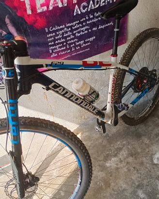 bici mtb cannondale 29 tgl....m