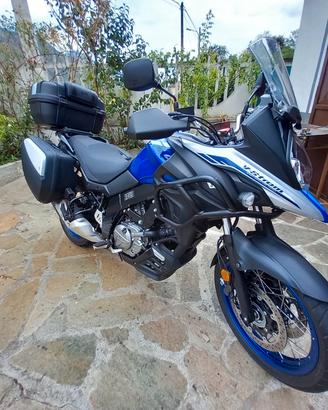 moto Suzuki 