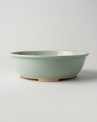vaso bonsai 