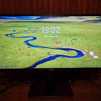 Monitor 29 pollici ultrawide 21:9 ASUS PB298Q