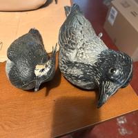 Uccelli da richiamo