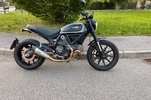 Ducati scrambler 800