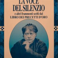 La voce del Silenzio