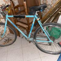bici mountain bike Legnano