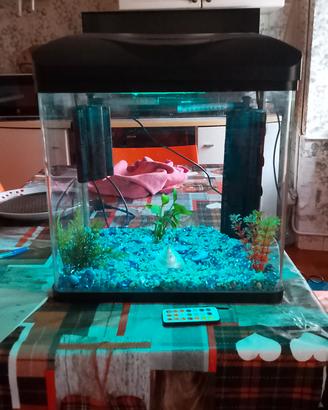 acquario 