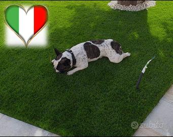 erba sintetica ideale per animali pelo 4.2 cm