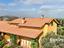 Immagine 9