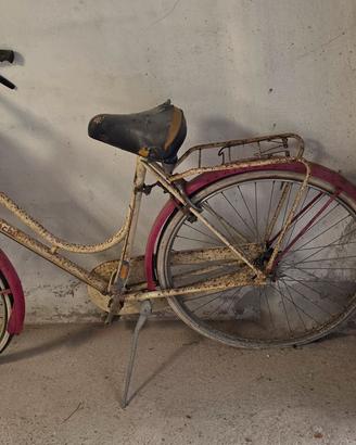 Bicicletta da passeggio.