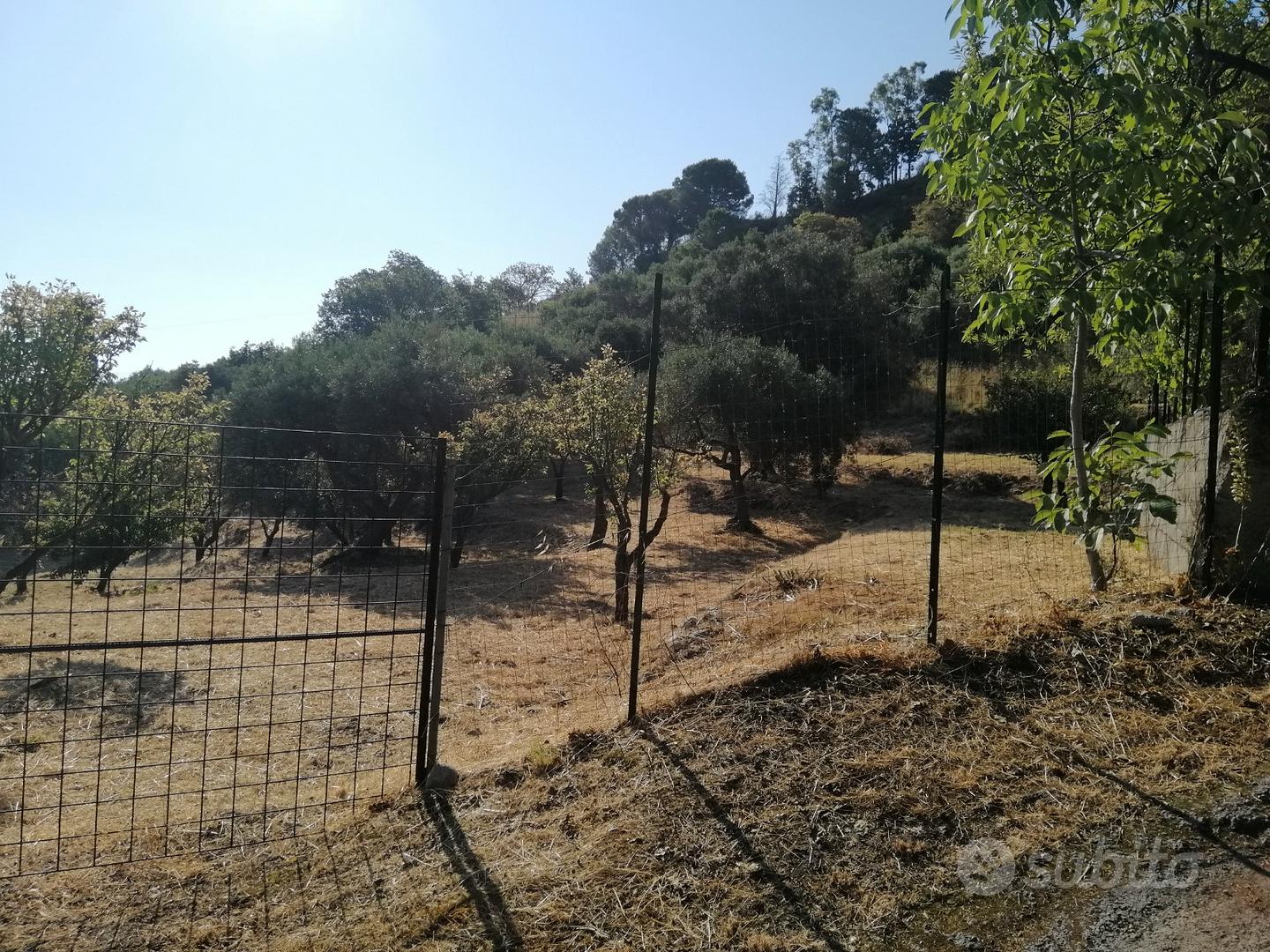 Terreno agricolo Vill. Santo Stefano Medio - Altro