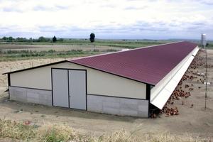 C.E.R.C.A.S.I. Allevamento/Capannone Avicolo