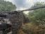 Immagine 12